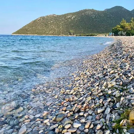 Thalatta And Oros Traditional *