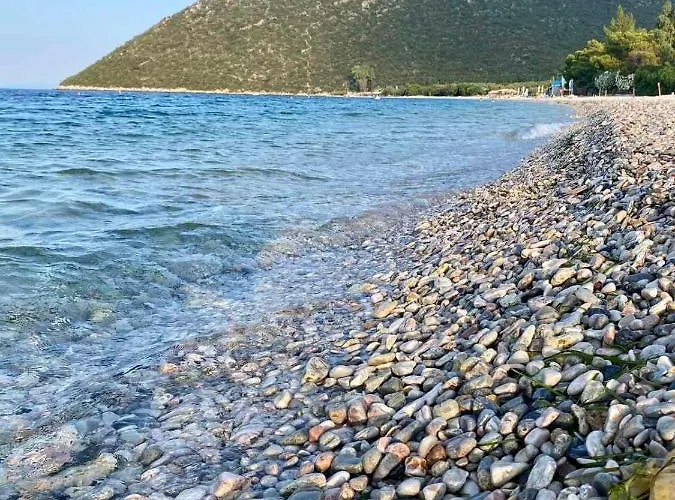 Thalatta And Oros Traditional *