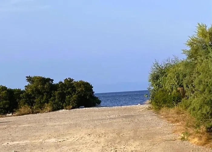 Thalatta And Oros Traditional